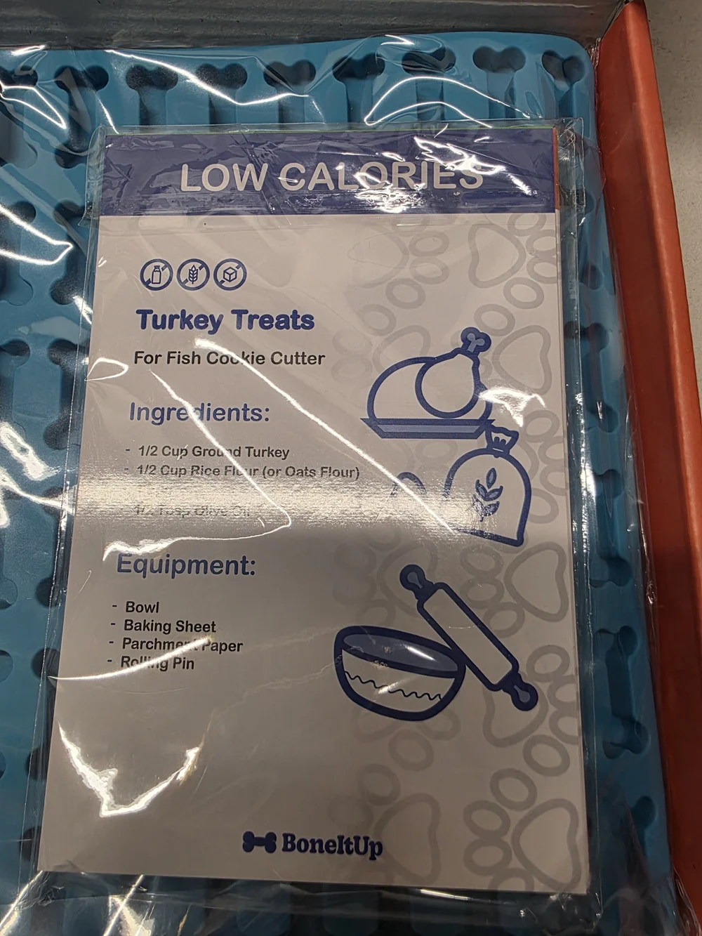 Cat Edition Treat Box in Orange & Blue